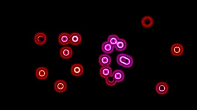 download visuals, video of bacteria party loops around